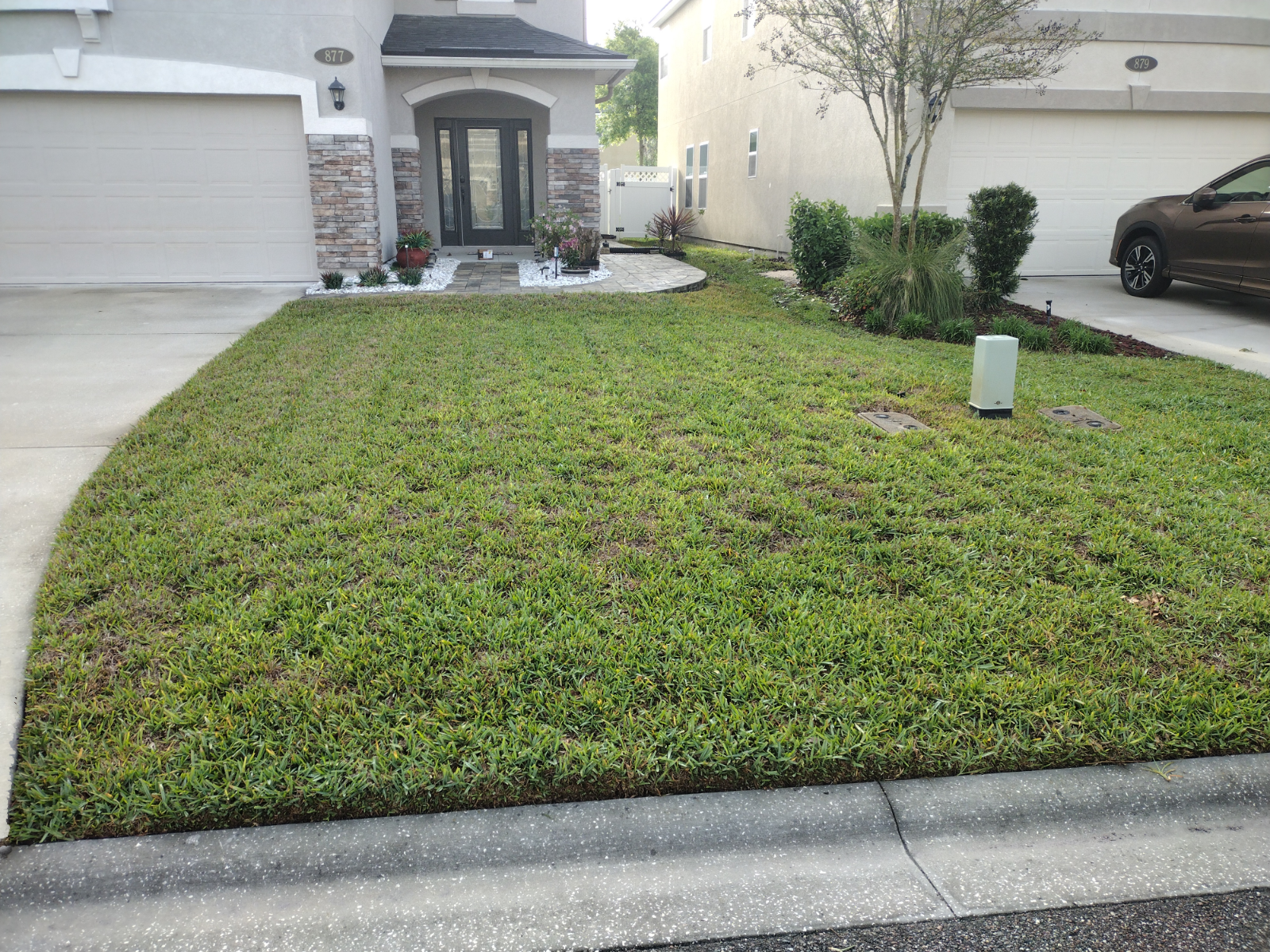 Before picture of lawn with brown patchy spots and pale green grass