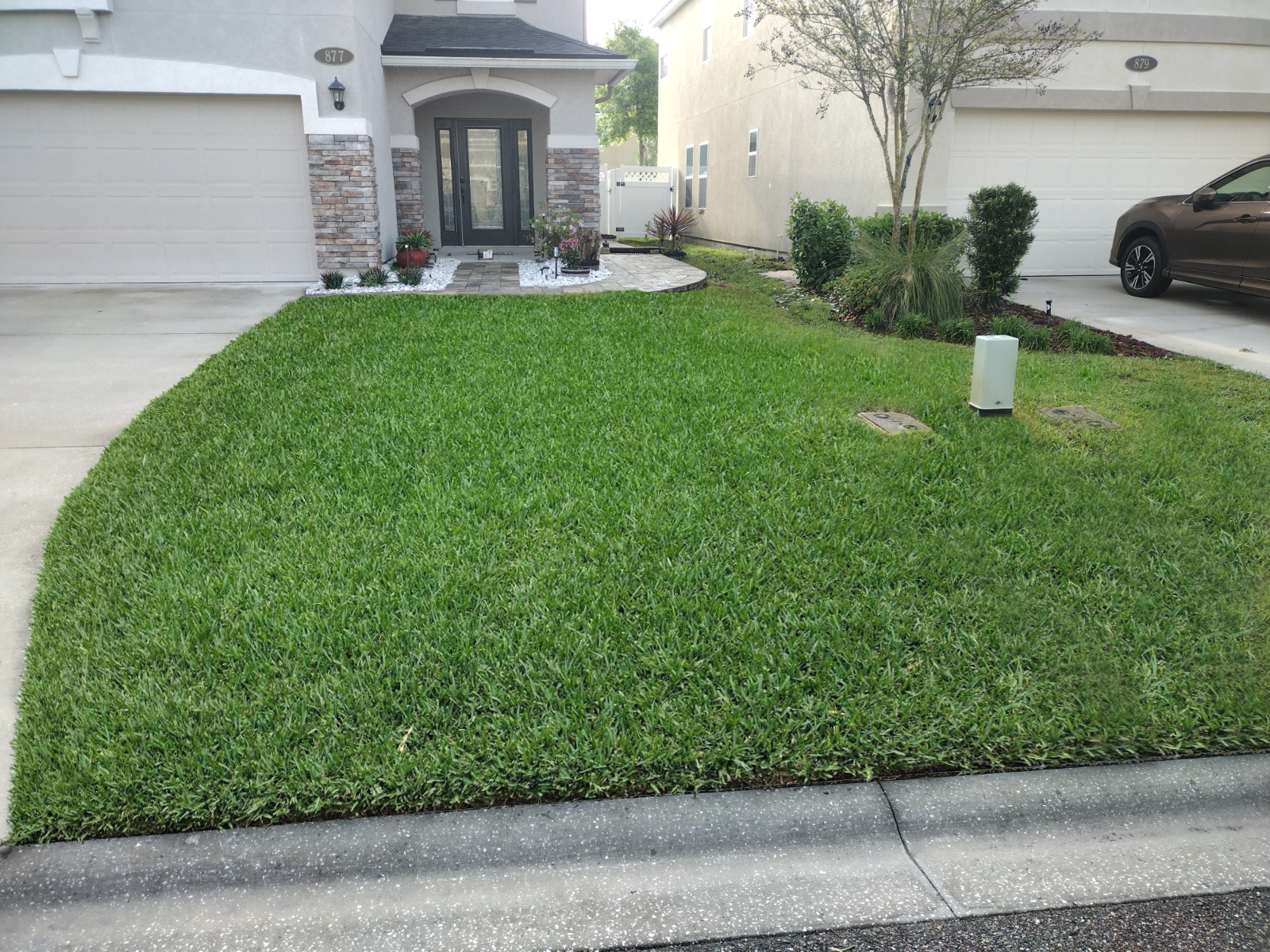 After picture of lawn after treatment with bright green grass contrasted with brown patchy and pale neighbor grass.